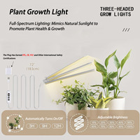 Support de plante en métal enduit de poudre intérieur/extérieur élèvent la lumière support de pot de fleur étagères planteur étagère présentoir pour jardin