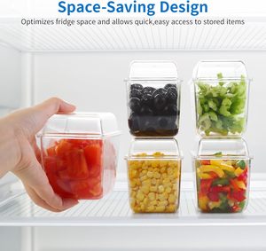 Contenitore per condimenti ghiacciati con 5 contenitori, Server per condimenti con coperchi separati, vassoio da portata con piatti rimovibili - Product Image 4