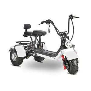 Sepeda roda tiga listrik dewasa, harga rendah praktis profesional 800w off-Road citycoco listrik