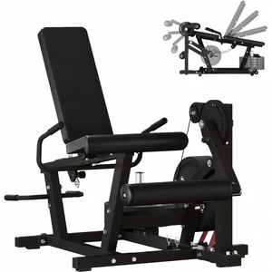 CZFIT Appareil d'entraînement multifonction pour flexion et extension des jambes assises - Équipement de gym pour la force des muscles des jambes, de la taille et de l'abdomen - Product Image 1