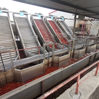 Industriële Tomatenpuree Concentraat Saus Jam Ketchup Puree Making Machine Productielijn Verwerkingsbedrijf