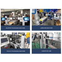 Codeur laser CO2 industriel en ligne intégré à une machine d'emballage VFFS pour l'impression haute vitesse de numéros de lot et de dates CE ISO