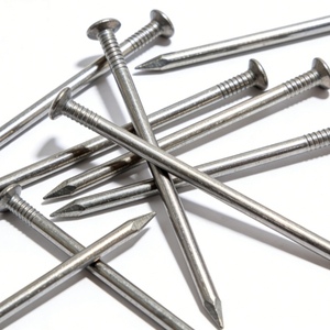 Clous ordinaires en acier au carbone galvanisé, clous à tête plate polie pour la construction, le travail du bois et le charpente - Product Image 4