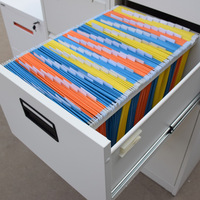 Carpeta de Archivo Colgante de Papel Personalizada al por Mayor, Tamaño A4/FC, con Área para Etiquetas, para una Gestión Eficiente de Documentos