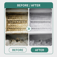 Nettoyant professionnel pour machine à glace, détartrant liquide pour machines à glace commerciales, fournisseur d'usine OEM ODM