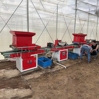 Machine de semis automatique à plateau Plateaux de semis de légumes Plateaux universels pour semis automatique à grande vitesse