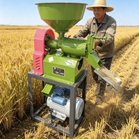 Machine combinée de décorticage et de polissage du riz, vente en gros, 700-1000 kg/h, broyeur à sec pour maïs, blé, grains de café pour la ferme