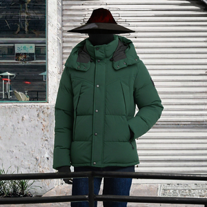 Men's Winter Down <b>Jacket</b> Hooded <b>Puffer</b> Coat Flared Collar Casual Outdoor Outerwear - Product Image 2