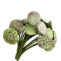 Décoration Zen Chinoise pour la Maison et l'Hôtel en Forme de Feuille et de Fleur de Lotus, Fabriquée par Injection Moulée