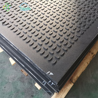 En stock Feuille UHMWPE antidérapante en relief robuste pour tapis de sol de tapis de route