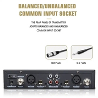 Système de monitoring intra-auriculaire UHF Pro Audio IEM 2 canaux sans fil pour voix et instruments de scène, avec micro-casque dynamique XLR en métal et plastique