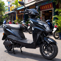 Moped électrique CKD EEC 10 pouces à deux places, 600/800 W, vitesse 50 km/h, moto électrique automatique pour adultes