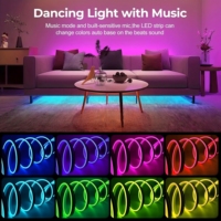 Kit de bande lumineuse LED néon RGB USB 5V avec télécommande, synchronisation musicale, bande lumineuse flexible et colorée pour la décoration d'Halloween et de Noël
