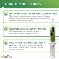 Pâte nutritive OEM/ODM Gel de L-Lysine pour chat - Soutien du système immunitaire - Complément alimentaire pour animaux de compagnie pour le nez qui coule, les problèmes respiratoires et la vision