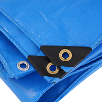 Bâche en PE robuste et imperméable MILLION China Custom 20 X 30 30x50 40 X 60 20x20 15 X 15 10x10