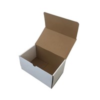 Caja de Cartón Corrugado Negra con Estampado en Caliente Dorado y Plateado para Comercio Electrónico, Caja de Sombrero Blanca con Solapa