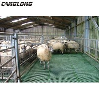 Structure en acier léger pour étable à moutons, ferme d'élevage de bovins, construction d'étable à vaches