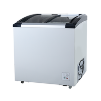 Congélateur coffre électrique portable en acier inoxydable avec compresseur et porte coulissante pour crème glacée 156L pour usage domestique et commercial
