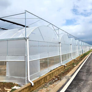 Invernadero Agrícola Personalizado de Múltiples Tramos con Película Plástica para Cultivo de Vegetales y Flores - Product Image 1