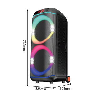 CQS-S6617 Enceinte PA Bluetooth pour scène extérieure, karaoké domestique, avec deux microphones, chargement sans fil, alimentation audio DC - Product Image 4