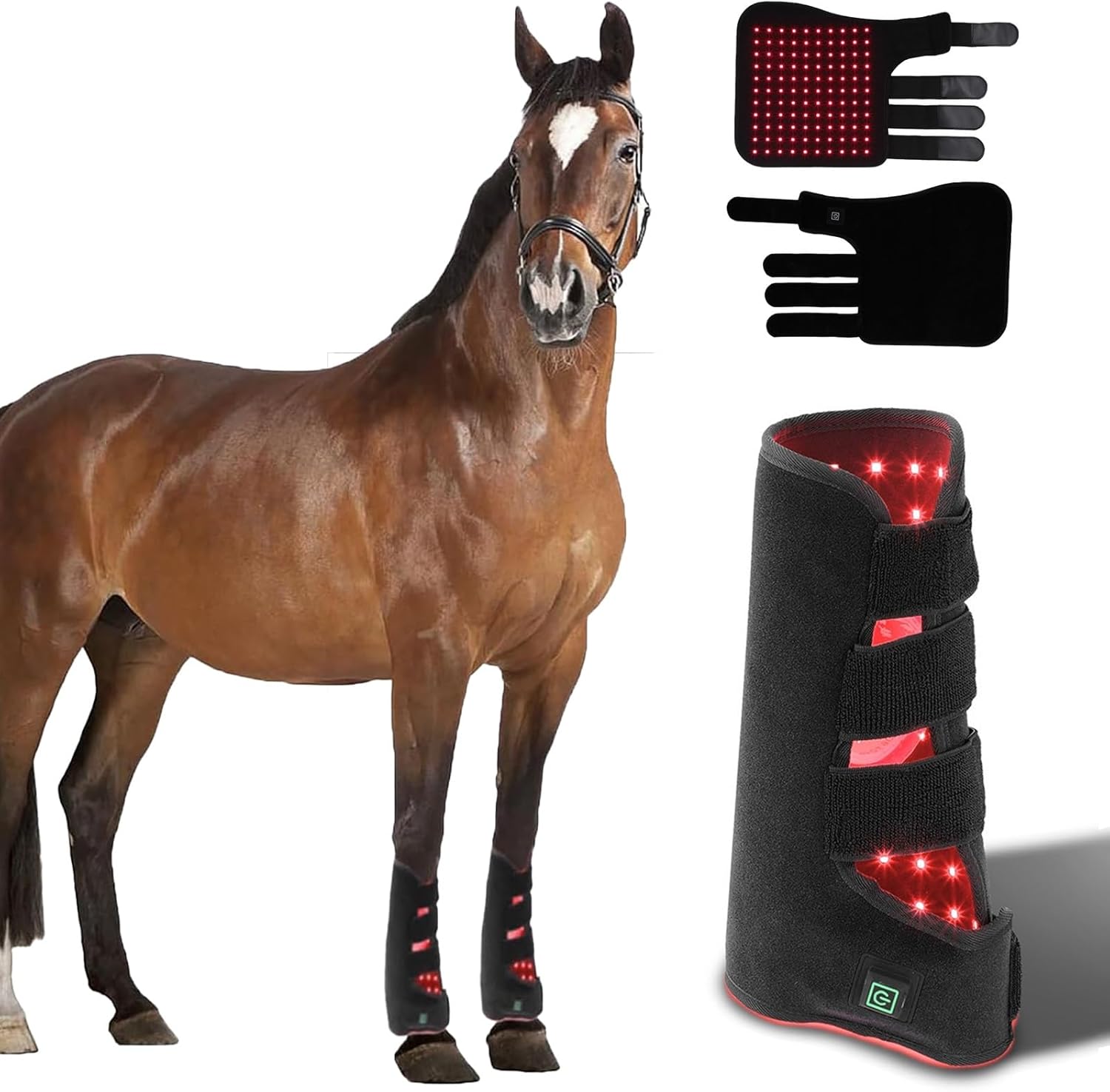 Gamba di cavallo AQSHE