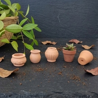 Pot Mini Lucu dan Bernapas untuk Sukulen Dalam Ruangan, Pot Bunga Penyerap Air untuk Kaktus Mini, Pot Kerajinan DIY untuk Lantai Taman