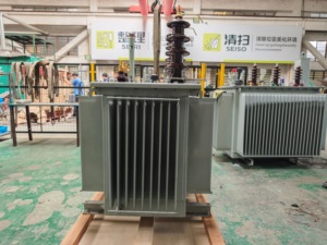 Fuleet S13 100kva <span class=keywords><strong>iec60076</strong></span>/ISO tiêu chuẩn 10/11kv 50Hz ngoài trời ngâm dầu ba pha ba cuộn dây cuộn dây nhà máy biến áp - Product Image 5