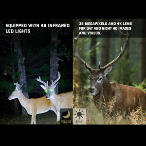 Caméra de <span class=keywords><strong>chasse</strong></span> faible luminosité couleur Vision nocturne 940nm LED Trail 256GB prise en charge de la carte SD résolution vidéo 4K 4G LTE sans fil - Product Image 6