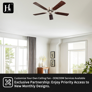 Newly designed 42-inch decorative <b>ceiling</b> <b>fan</b> <b>with</b> plywood blades, pure copper motor and zipper <b>control</b>. - Product Image 5