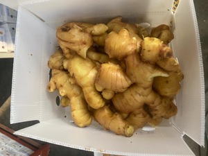 <span class=keywords><strong>Jengibre</strong></span> Fresco Orgánico, Ingredientes Alimenticios Naturales de Vietnam - Product Image 3