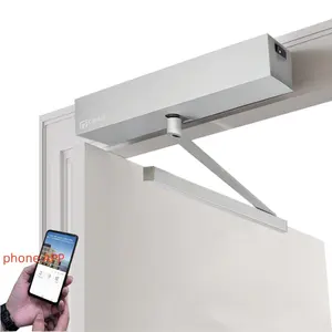 Interior Dual Arms Automatic Swing Opener Double Swing Door Operator Single Or Double Open for Office Swing Opener Door