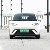 Pour BYD Seagull 2023, véhicule électrique compact à hayon, autonomie de 305 km, batterie Blade, idéal pour les taxis