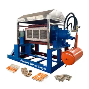 Usine Fuyuan Machine de fabrication de plateaux à œufs/ligne de production de machines à plateaux à œufs/fabricant de boîtes à œufs