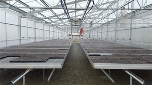 ONE-one Greenhouse Tidal Seedbed Grid Seedbed and Other Glasshouse hidroponia système hidroponique hydroponique à vendre - Product Image 3