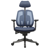 A92 bien vendre nouveau type d'ordinateur chaise de bureau ergonomique confortable