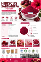 Poudre d'Hibiscus Sabdariffa de Haute Qualité, Extrait de Roselle Soluble dans l'Eau, Poudre d'Anthocyanes, Colorant Alimentaire Naturel, Extrait Végétal