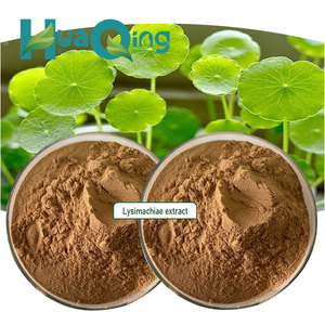 Extracto de Lysimachiae, suministro de fábrica - Product Image 5
