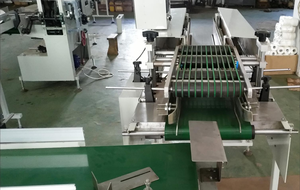 Macchina Automatica per Confezionamento e Imballaggio di Rotoli Multipli di Carta Igienica a Prezzo Conveniente - Product Image 4