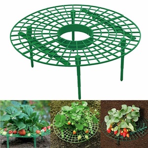 Support de fraises pour plantes de jardin, 4 pièces, maintien des fruits rehaussé, évite le brocade moulant, pilier de vigne - Product Image 2