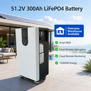 Paquete de Baterías de Litio-Ferrofosfato (LiFePO4) de 51.2V 300Ah 15kWh para Sistemas de Almacenamiento de Energía Solar (ESS) Domésticos con BMS Inteligente en la Nube, 6000 Ciclos, 5 Años de Garantía, Stock en la UE - Product Image 1