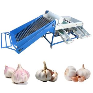 Máquina Clasificadora y Empacadora de Frutas Perfecta, Línea de Clasificación de Frutas, Máquina Clasificadora y Limpiadora de Frutas y Verduras - Product Image 2