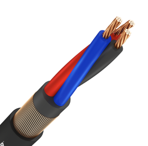 600V Đồng Tâm Dịch Vụ lối vào cáp đồng dẫn xlpe Cách Nhiệt PVC áo khoác 1x8 + 8awg 2x8 + 8awg 3x8 + 8awg 3x6 + 6awg 2x4 + 4awg - Product Image 2