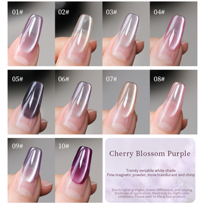 Kit de vernis à ongles gel UV LED magnétique effet œil de chat longue tenue Sakura <span class=keywords><strong>Mauve</strong></span> holographique scintillant pour salon et DIY - Product Image 4
