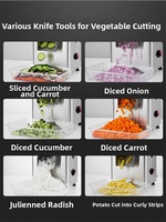 Machine à couper les légumes multifonctionnelle électrique 300W en acier inoxydable, trancheuse, hachoir, râpeuse, coupe-dés pour usage commercial