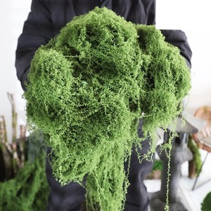 หญ้าเทียมสั่งทำพิเศษ <span class=keywords><strong>ร</strong></span>ุ่นใหม่ 2026 พร้อมดอกไม้และต้นไม้ตกแต่งอื่นๆ <span class=keywords><strong>ร</strong></span>ั้วติดผนัง เสา หญ้าเทียมแบบม้วน - Product Image 5