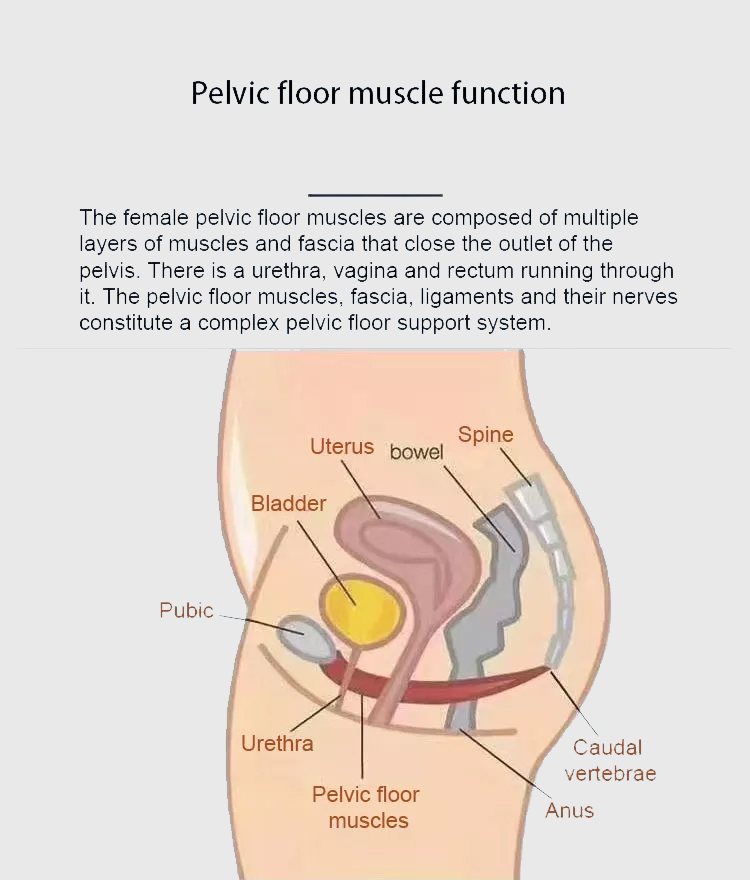 2022 Newest Vertical Slim Beauty Emslim Pro Build Muscles Stimulate Tesla Body Ems Neo Sculpting Tesla Machine Cellulite Remover