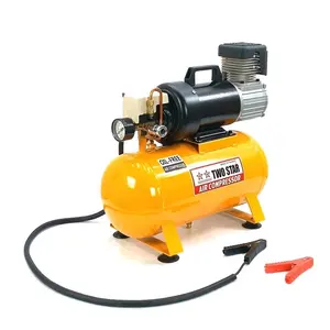 24V DC Weatherproof Professional Small Powerful Heavy Duty Truck Oil Free Air Compressor Machine with 12 liter tank