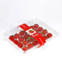 Boîte d'emballage en plastique transparente pour fruits, 125g, 250g, 500g, pour fruits, baies, fraises, myrtilles, conteneur à clapet avec trous