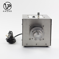 Bomba de aceite eléctrica portátil sin escobillas con accionamiento magnético, microbomba química de acero inoxidable para transferencia de fluidos industriales al por mayor