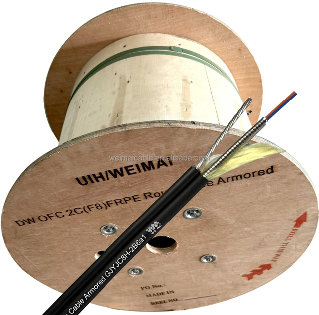 Fiber Optical Cable Armored